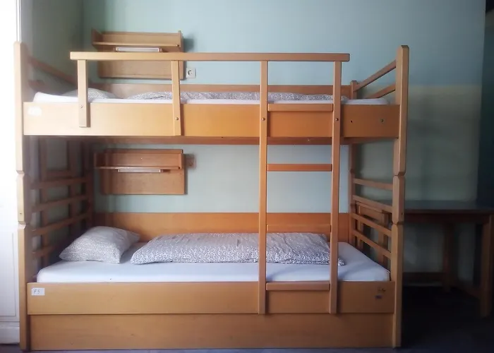 Treestyle Hostel